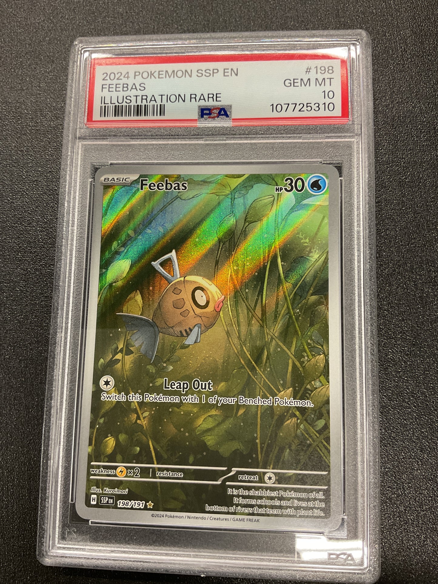 2024 Feebas #198