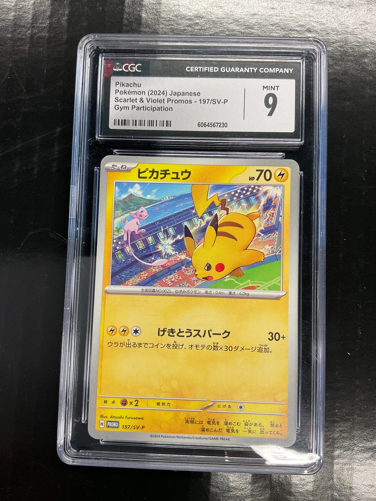 2024 Pikachu Gym Participation Japanese